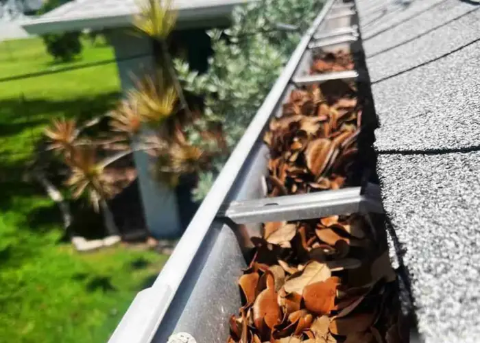 Mt Holly gutter cleaning home page